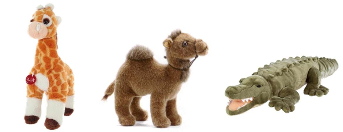 انشودة au zoo tout est beau